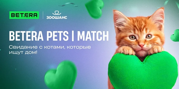 Букмекерская компания Betera устроит свидание с котами ко Дню всех влюбленных