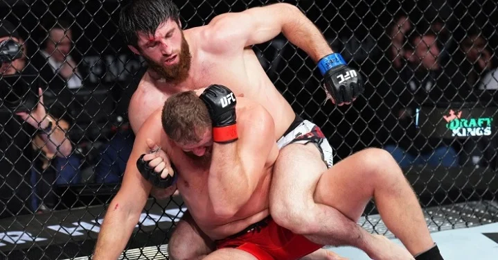 Судьи назначили ничью в бою Анкалаев - Блахович на UFC 282 Судьи назначили ничью в бою Анкалаев - Блахович на UFC 282