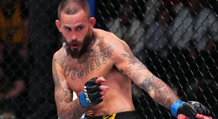 Вера о поединке с Яном: «UFC сказали, что Петр не будет драться» Вера о поединке с Яном: «UFC сказали, что Петр не будет драться»