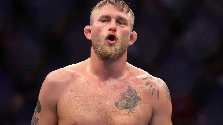 Густафссон вернется в октагон UFC 11 декабря Густафссон вернется в октагон UFC 11 декабря