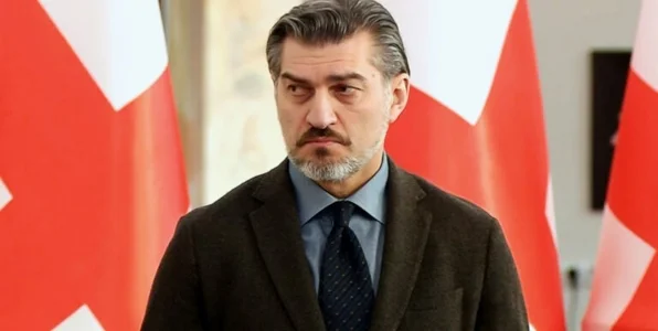 Джанашия: грузинский народ любит Кавелашвили, поэтому он будет хорошим президентом Джанашия: грузинский народ любит Кавелашвили, поэтому он будет хорошим президентом