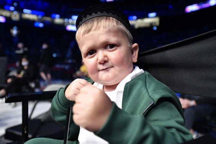 Блогер Хасбик подписал контракт с UFC Блогер Хасбик подписал контракт с UFC
