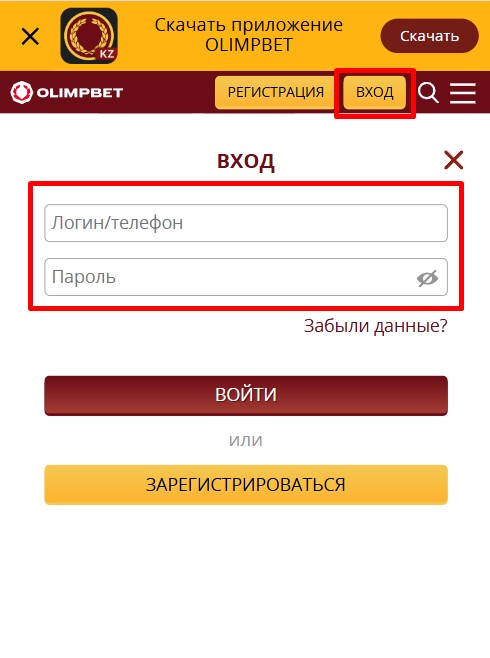 Ввод данных для входа в ЛК Олимп