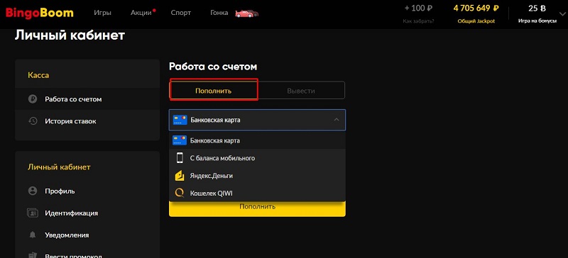 пополнение счета в БингоБум