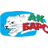 Барс