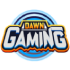 Dawn Gaming Dawn Gaming