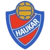 Haukar