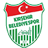 Kirsehir Belediyespor