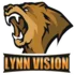 Lynn Vision Gaming