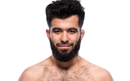 Muin Gafurov Muin Gafurov