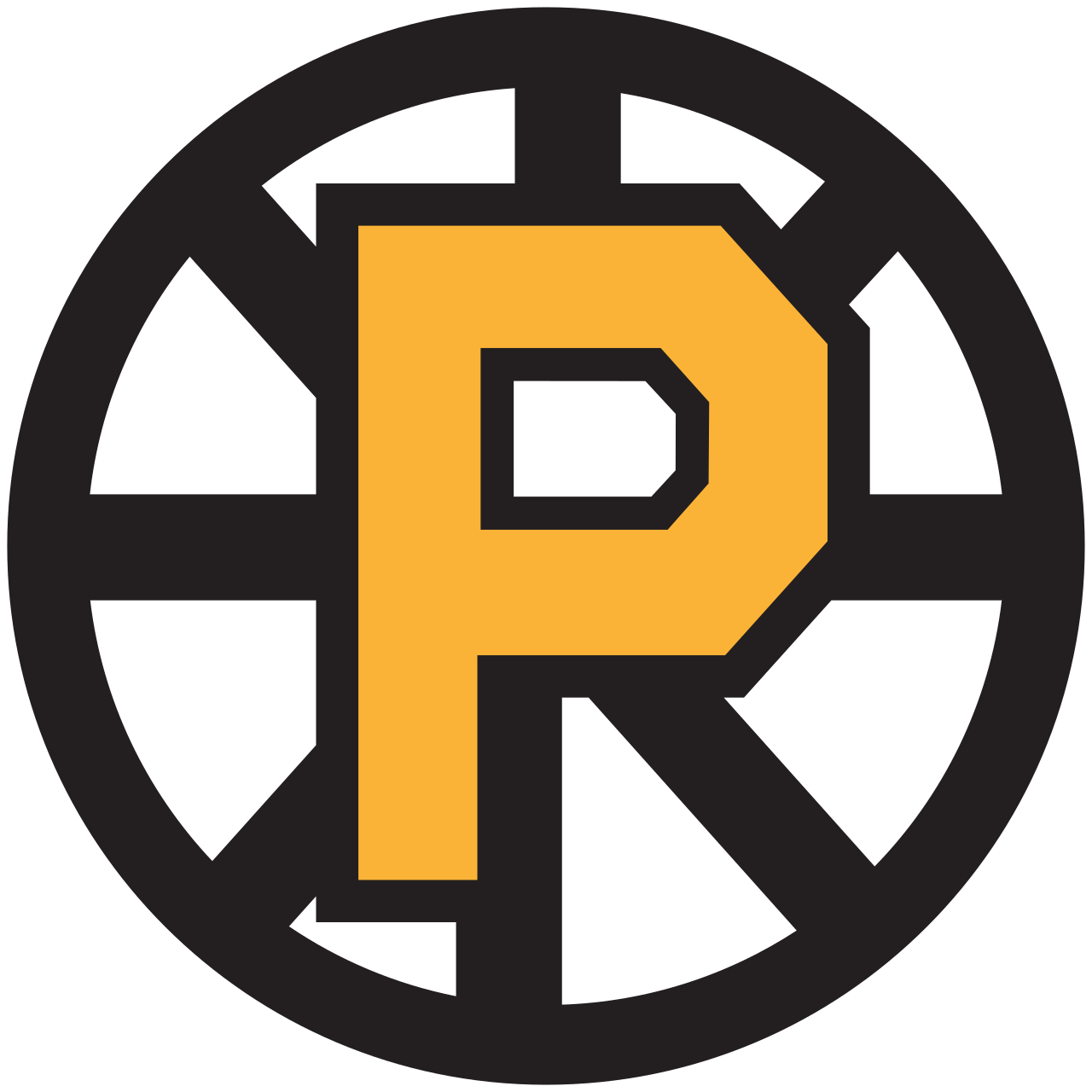 Providence Bruins Providence Bruins