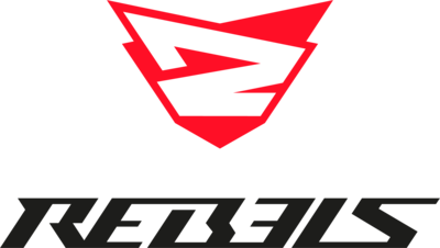 Rebels Gaming