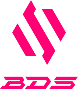Team BDS Team BDS