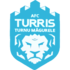 Turris-Oltul Turris-Oltul