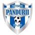 Viitorul Pandurii Targu Jiu Viitorul Pandurii Targu Jiu
