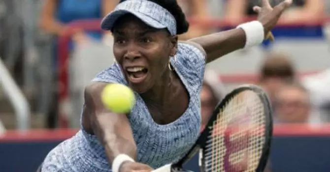 Винус Уильямс – Елена Остапенко. Прогноз на WTA Итоговый турнир 24 октября Винус Уильямс – Елена Остапенко. Прогноз на WTA Итоговый турнир 24 октября