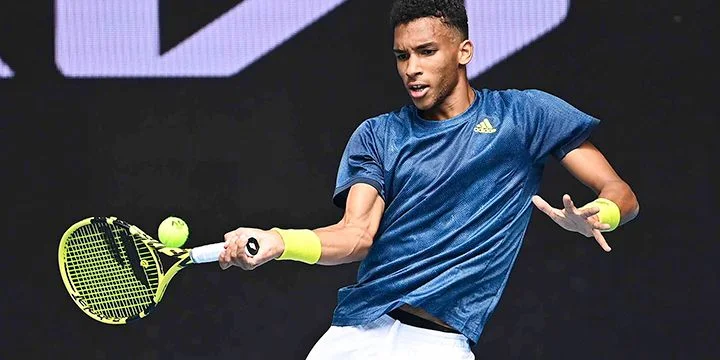 Филип Крайинович - Феликс Оже-Альяссим. Прогноз на матч ATP Стокгольм (10 ноября 2021 года)
Филип Крайинович - Феликс Оже-Альяссим. Прогноз на матч ATP Стокгольм (10 ноября 2021 года)