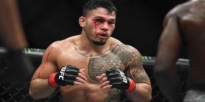 Брэд Таварес— Дрикус Дю Плесси. Прогноз на UFC (3 июля 2022 года) Брэд Таварес— Дрикус Дю Плесси. Прогноз на UFC (3 июля 2022 года)