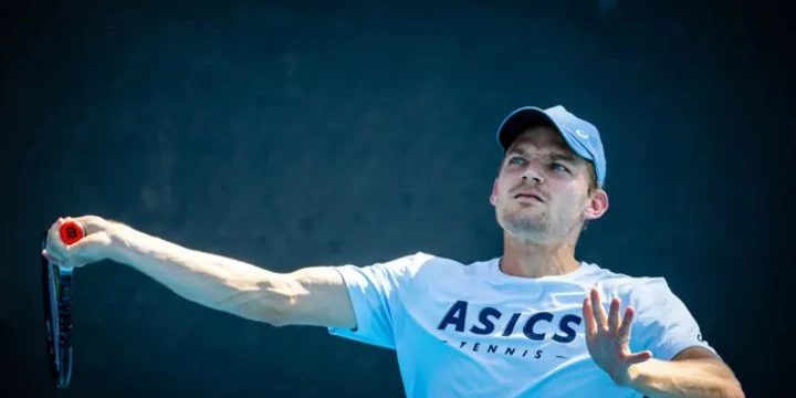 Гоффен — Сильва. Прогноз на матч ATP Оттиньи-Лувен-ла-Нев (26 января 2023 года)