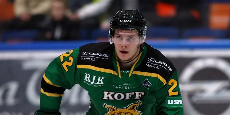 Ильвес - Витковице Ильвес - Витковице
