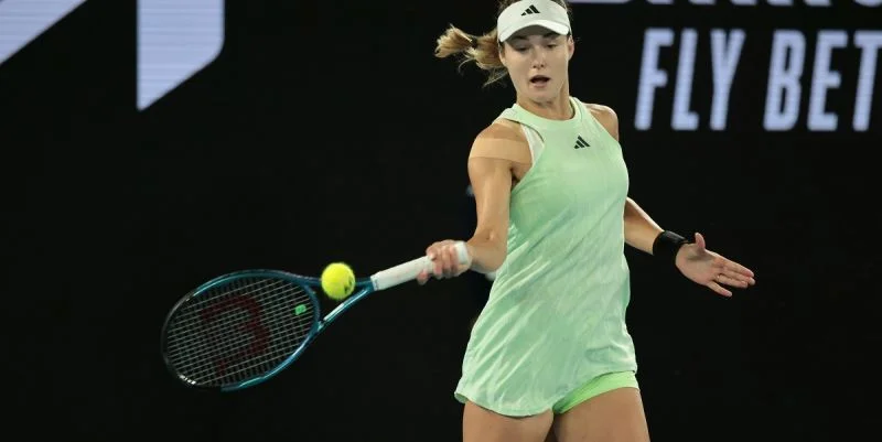 Анна Калинская – Елена Остапенко. Прогноз и ставки на матч WTA Майами (23 марта 2024 года) Анна Калинская – Елена Остапенко. Прогноз и ставки на матч WTA Майами (23 марта 2024 года)