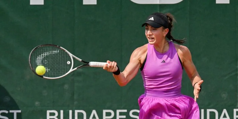 Элина Аванесян – Анна Каролина Шмидлова. Прогноз и ставки на матч WTA Будапешт (19 июля 2024 года) Элина Аванесян – Анна Каролина Шмидлова. Прогноз и ставки на матч WTA Будапешт (19 июля 2024 года)