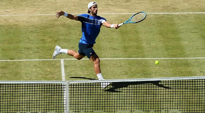 Дель Потро - Лопес. Прогноз на ATP Уимблдон (05.07.2018) | ВсеПроСпорт.ру