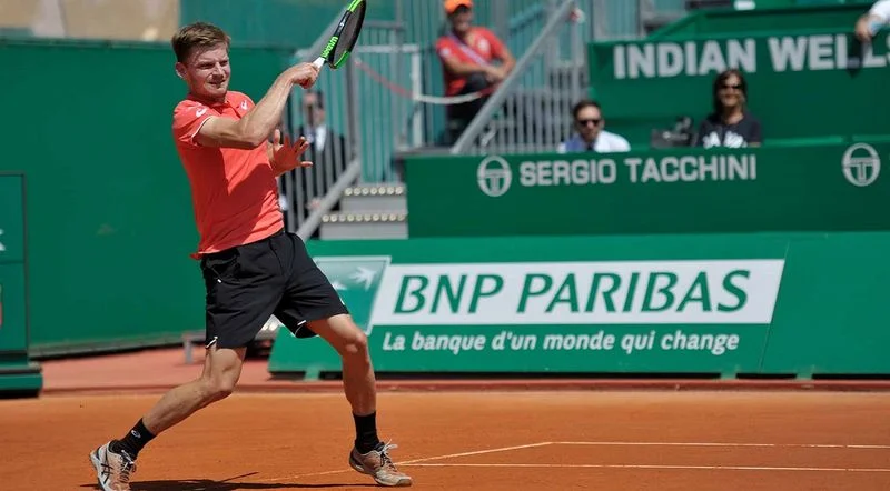 Гоффин - Дель Потро. Прогноз на матч ATP Рим (16.05.2019)