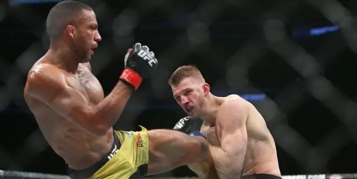 Джеймс Вик - Дэн Хукер. Прогноз на UFC (21.07.2019)