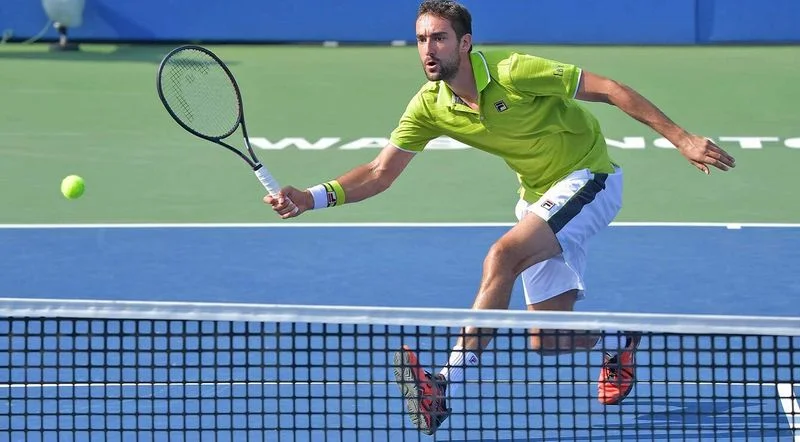 Чилич — Клан. Прогноз на матч ATP Монреаль (6 августа 2019 года) Чилич — Клан. Прогноз на матч ATP Монреаль (6 августа 2019 года)