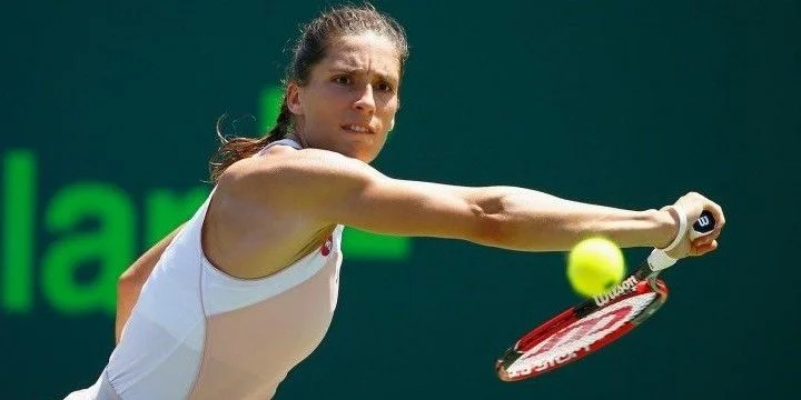 Чжан Шуай – Андреа Петкович. Прогноз на матч WTA Нью-Йорк (19 августа 2019 года) Чжан Шуай – Андреа Петкович. Прогноз на матч WTA Нью-Йорк (19 августа 2019 года)