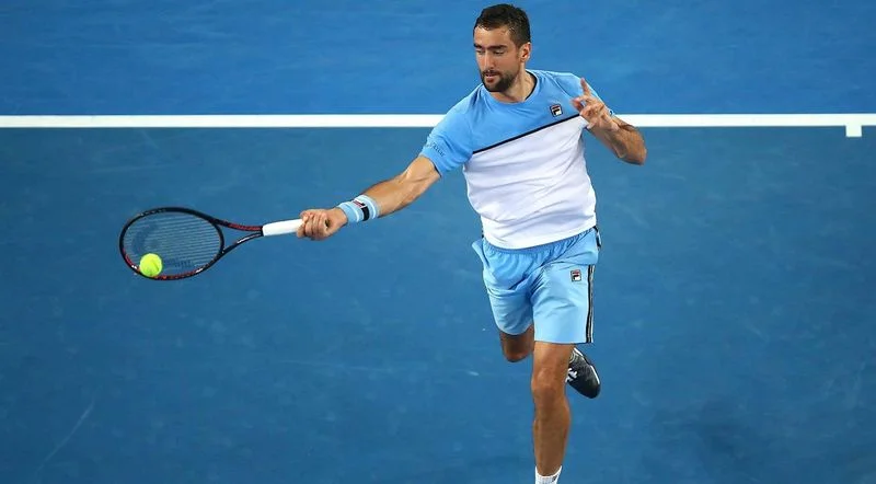 Мартин Клижан — Марин Чилич. Прогноз на матч ATP US Open (27 августа 2019 года)