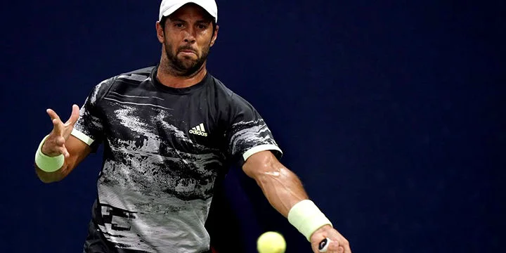 Тим - Вердаско. Прогноз на матч ATP Вена (24 октября 2019 года)