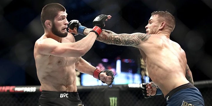 Хабиб Нурмагомедов — Джастин Гейджи. Прогноз на UFC (25 октября 2020 года)